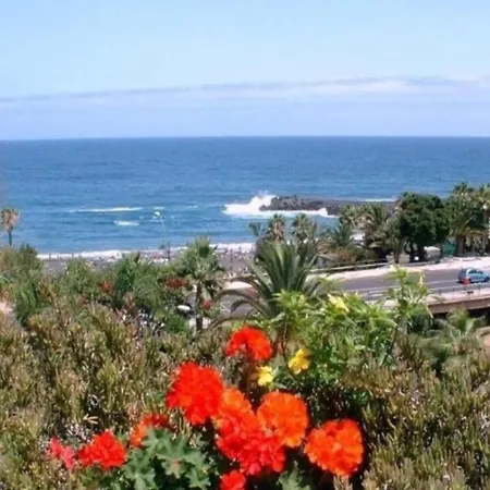 Mesa Del Mar Near Black * Такоронте